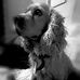 Profile Picture of Daniel Cornejo (@daniel.cornejo.9083) on Facebook