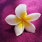 Profile Picture of Marie Hackney (@marie.hackney.908) on Facebook