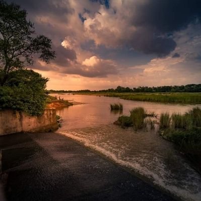 Profile Picture of Sonali Basu (@SonaliBasu16) on Twitter