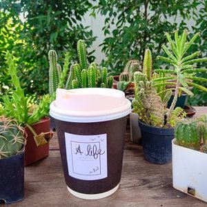 Profile Picture of Pat Wan (@PatWan17) on Twitter