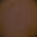 Profile Picture of Abhishek Rai (@abhishek_rai0587) on Flickr