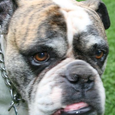 Profile Picture of Bill Bickford (@billbickford) on Twitter