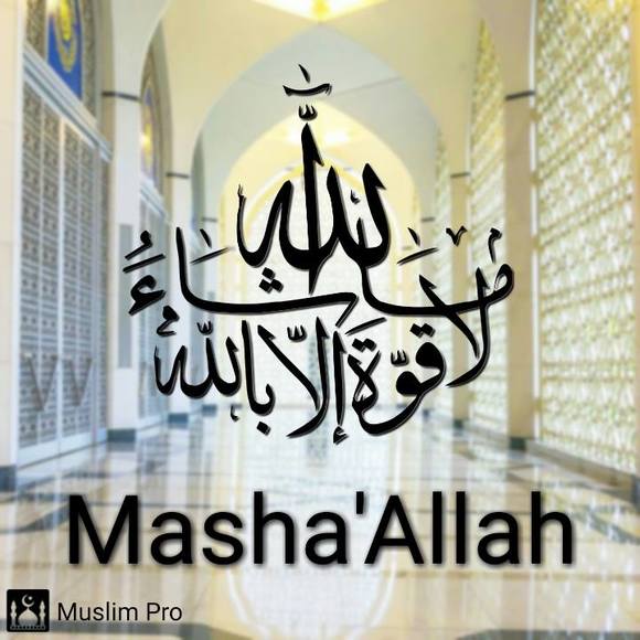 Profile Picture of Uma musab Uma musab (@bishara743) on Poshmark