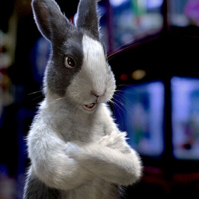 Profile Picture of Bill Kempthorne (@wakemp) on Twitter