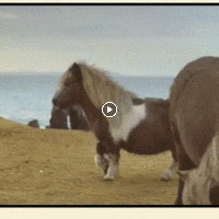 Mckenzie Jordan - Quora Profile Picture of Mckenzie Jordan (@mckenzie-jordan-7) on Quora