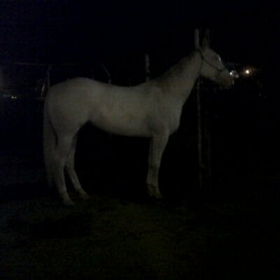 Profile Picture of Valentin Fuentes (@fuentesvalen) on Twitter