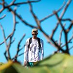 Profile Picture of David Pastrana (@djphantom0_0) on Instagram