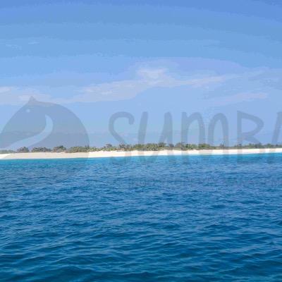 Profile Picture of Antonio Casella (@Casella2Casella) on Twitter