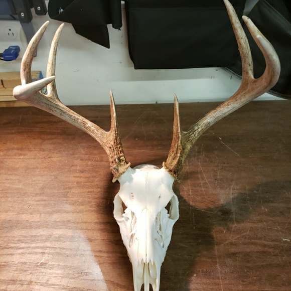 Profile Picture of Jake Paulsen (@jakecpaulsen) on Poshmark