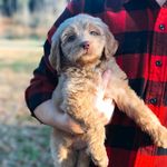 Profile Picture of Mae Steele (@missmaesteele) on Instagram