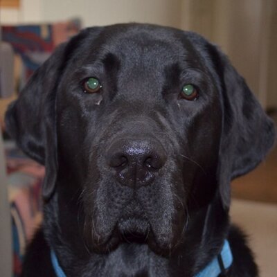 Profile Picture of Nicholas Arce (@Njarce) on Twitter