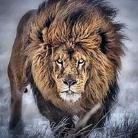 Profile Picture of Brian Bennick (@brian-bennick) on Quora