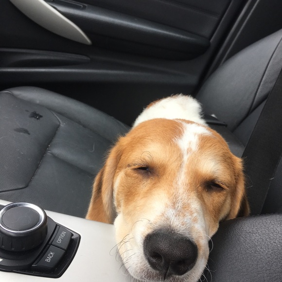 Profile Picture of Douglas Simpson (@dougsimp) on Poshmark