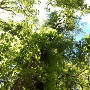 Profile Picture of benjaminplyler548 (@benjamin8262) on Tiktok