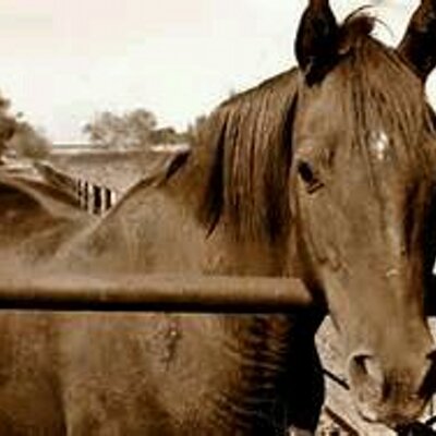 Profile Picture of Brent Smith (@casper10167) on Twitter