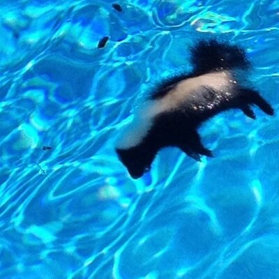 Profile Picture of James Rines (@jr9511) on Twitter