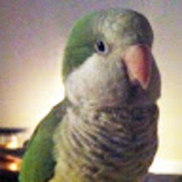 Profile Picture of Becky Tworek (@beckyanne1970) on Poshmark