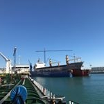 Yuriy Gusev - Instagram Profile Picture of Yuriy Gusev (@yuriy_sea_goose) on Instagram