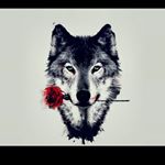 Profile Picture of Fernando Cuervo (@cuervo6737) on Instagram