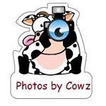 Profile Picture of Paul Cowled 📸 (@photos_by_cowz) on Instagram