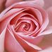 Profile Picture of Laurie Hubert (@laurie.hubert.52) on Facebook