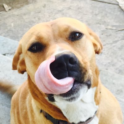 Profile Picture of Aaron Guth (@aguth05) on Twitter