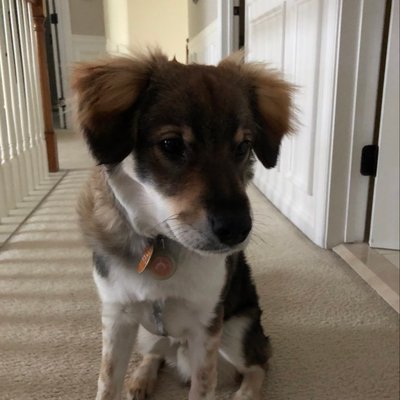 Profile Picture of Joseph Warrington (@JosephWarring11) on Twitter