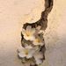 Profile Picture of Fabián Lugo (@fabianetiennelu) on Pinterest