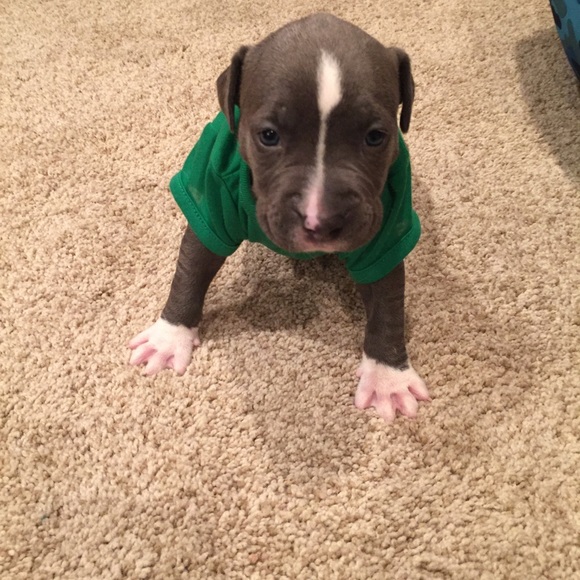 Profile Picture of Morgan Mascaro (@morganmascaro) on Poshmark