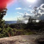 Profile Picture of Andrea Whitney (@smgrajoli) on Instagram