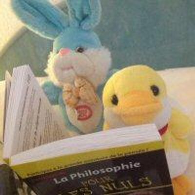 Profile Picture of Canarix And Lapinoux (@super_zozos) on Twitter