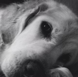 Profile Picture of Graham Reynolds (@graham.reynolds.391) on Facebook