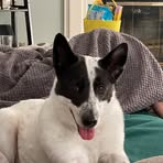 Profile Picture of Barry Hertzog (@barry.hertzog.50) on Facebook