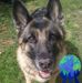 Profile Picture of Michael Sitko (@michael.sitko.35) on Facebook