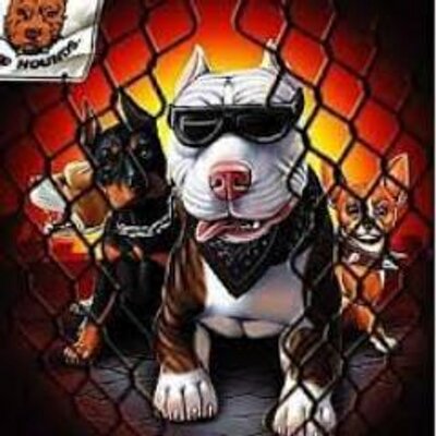 Profile Picture of Isaac Portillo (@isaacportillo2) on Twitter