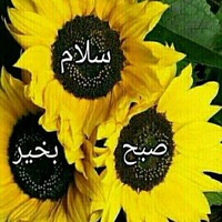 Profile Picture of Firooz Deljavan (@firooz-deljavan-2) on Quora