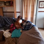 Profile Picture of Jerry Ochs (@Jerry-Ochs) on Facebook