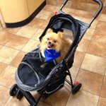 Profile Picture of Erhardt Thomas (@finestxoxoraven) on Instagram