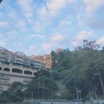 Profile Picture of Lok Lam (@_lydia_yeung) on Instagram