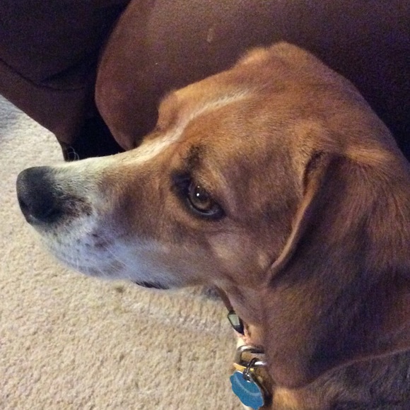 Aimee Burghardt - Poshmark Profile Picture of Aimee Burghardt (@aburghardt) on Poshmark