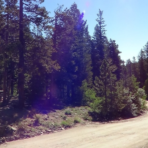 Profile Picture of Bethany Mcanly (@bethanymcanly) on Poshmark