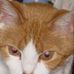 Profile Picture of Clarice Shepherd (@clarice.shepherd.5) on Facebook