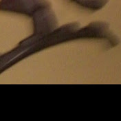Profile Picture of Abby Blevins (@abbyblevins3418) on Youtube