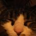Profile Picture of Ernie Moravec (@ernie.moravec) on Facebook