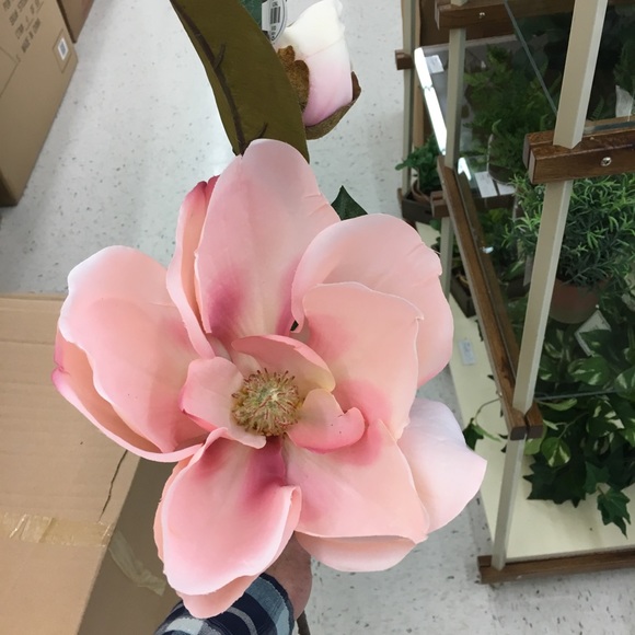 Profile Picture of Jacob Wallin (@jwallin4) on Poshmark