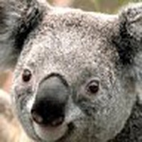 Profile Picture of Andrew Reimer (@andrew-reimer-13) on Quora