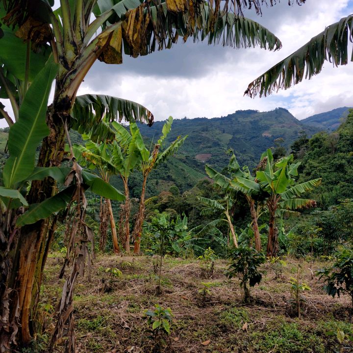 Profile Picture of Walter Cochrane (@waltercochrane277) on Tiktok