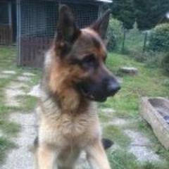 Profile Picture of Erik Tauber (@Theyolodog1) on Twitter