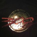 Profile Picture of Jason Antonopoulos (@jason.antonopoulos.33) on Facebook