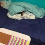 Profile Picture of Jasmine-g-b (@jasmine_goodwin_black_) on Instagram